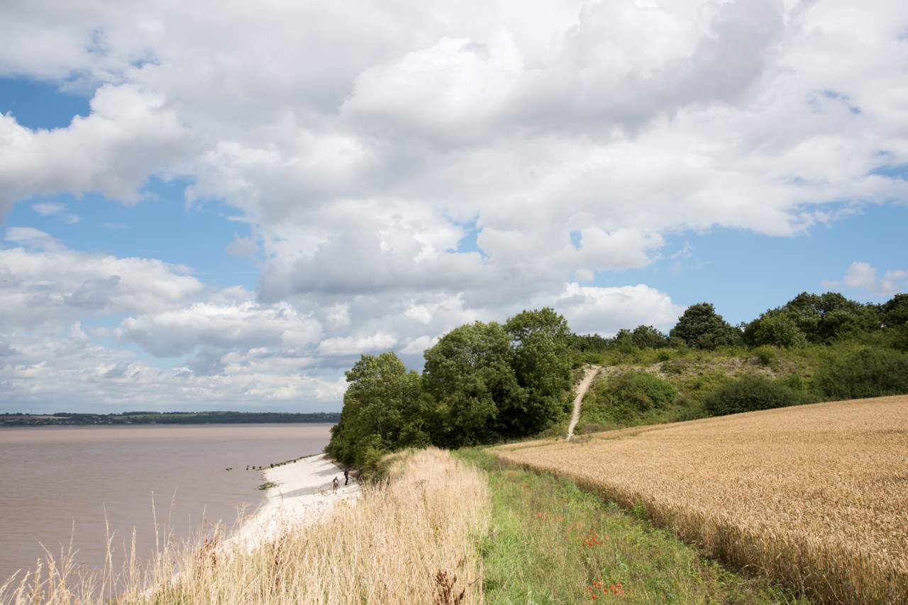 Beachcombers - South Ferriby Cliff