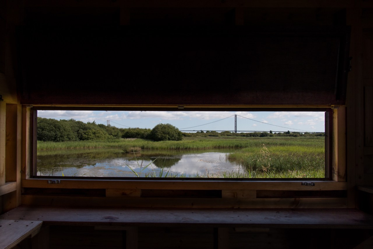 Wildlife Reserve - Humber Bridge