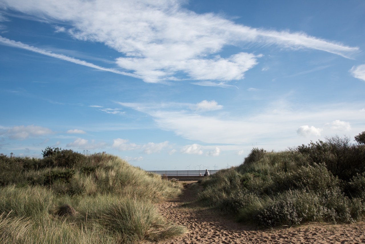 Dunes - Skegness