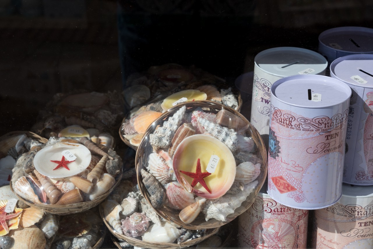 Sea Shells - Mablethorpe