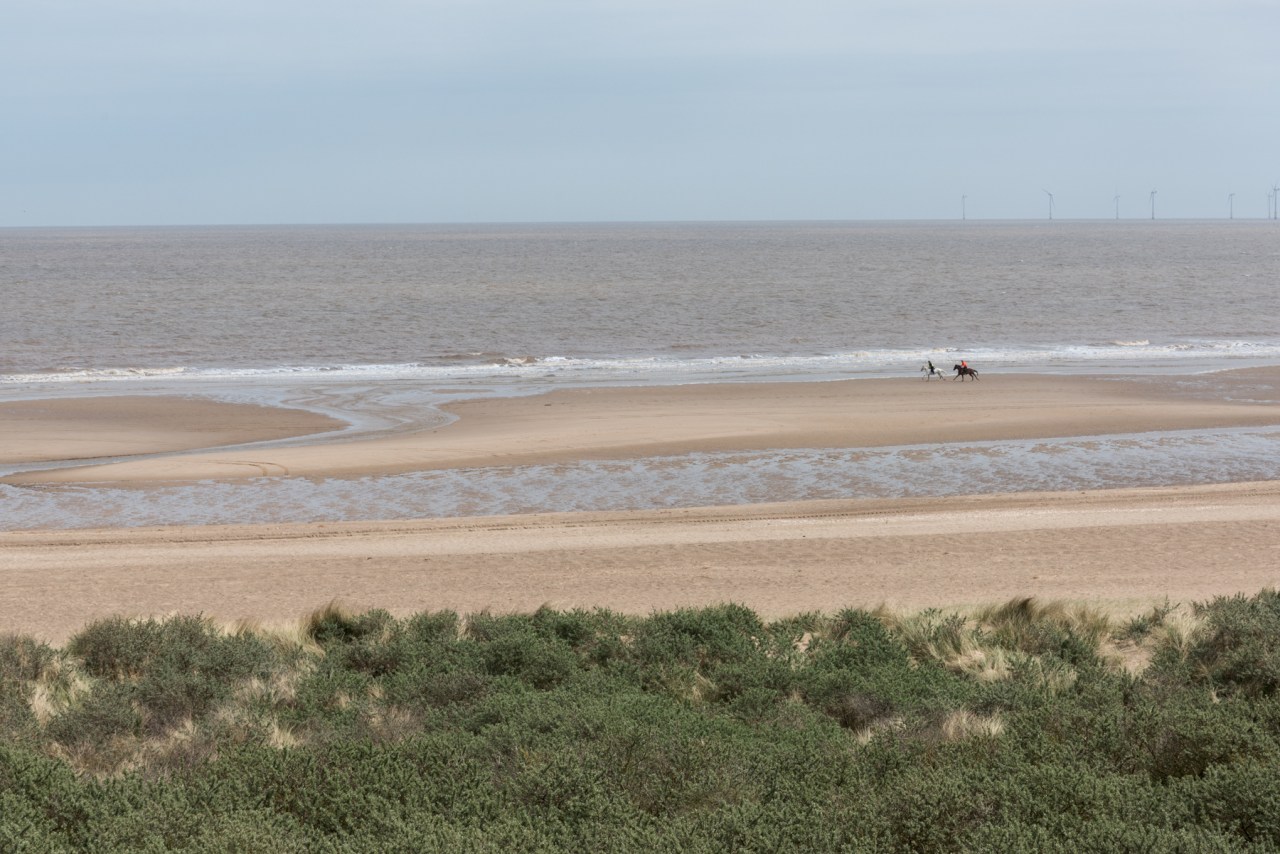 Horses - Anderby Creek
