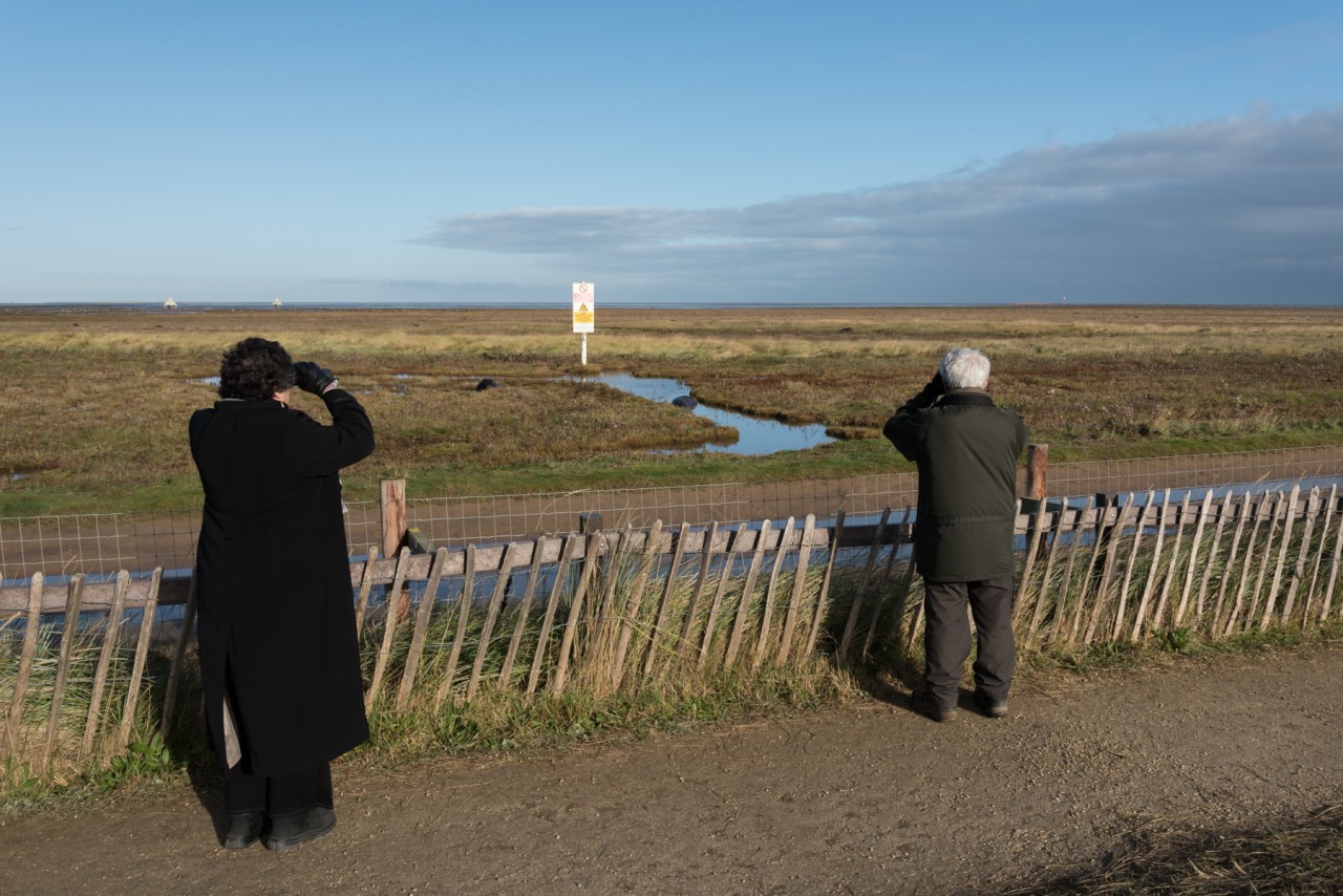 Seal Watchers - Donna Nook